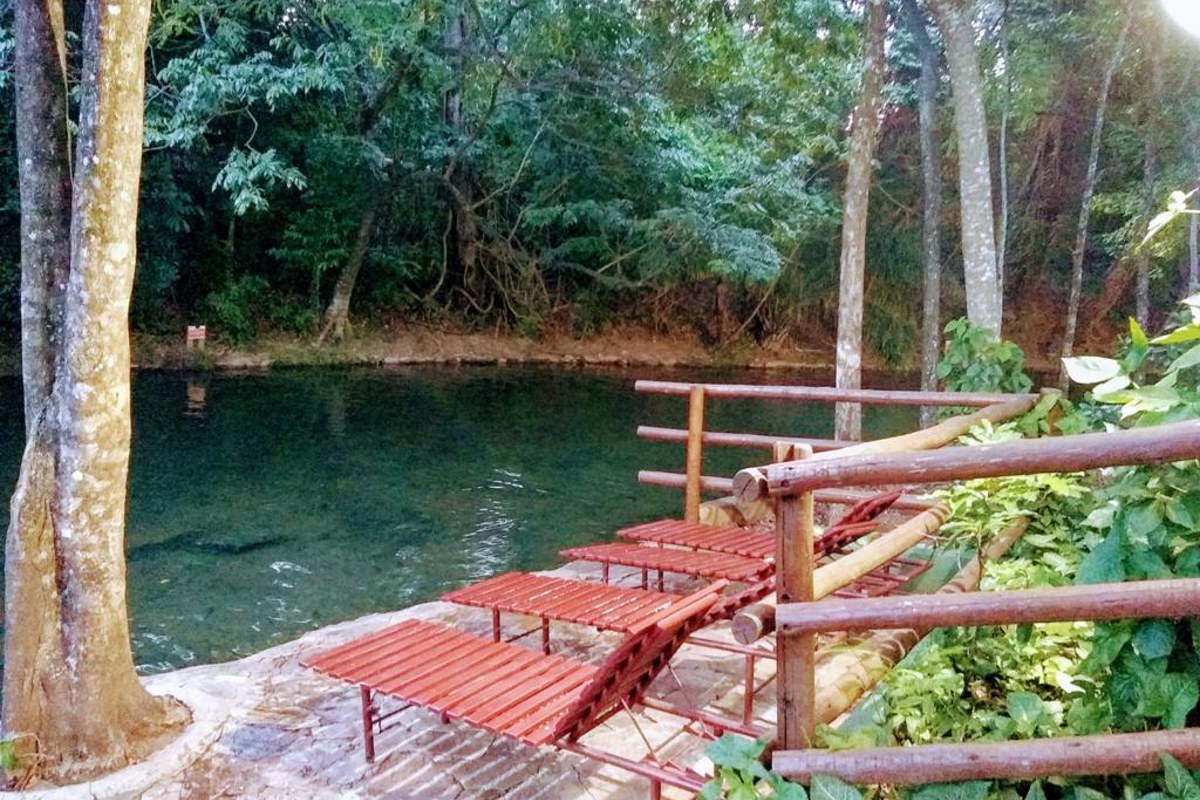 Área arborizada com passarela junto ao rio